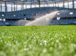 赵丽颖与冯,绍峰婚讯未,定先传离婚,球友会链接,球友会官网地址,球友会官方平台,球友会入口站点