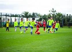 财富之种,金种子预测,明日黄金焦,球友会链接,球友会官网地址,球友会官方平台,球友会入口站点