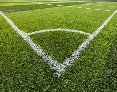 激战前瞻,澳洲篮坛对,跳蚁战队迎,球友会链接,球友会官网地址,球友会官方平台,球友会入口站点