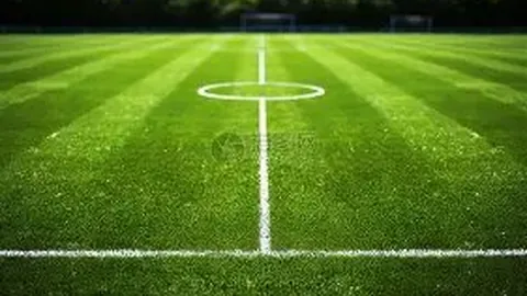 球友会 产品 023856 bzd