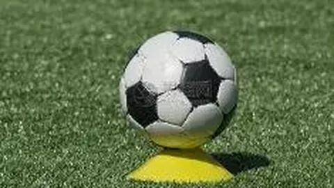 赵丽颖事业心十足，与经纪人聚餐期间专注玩手机